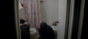 Dark Web 2017 Full Movie Download Free HD 720p